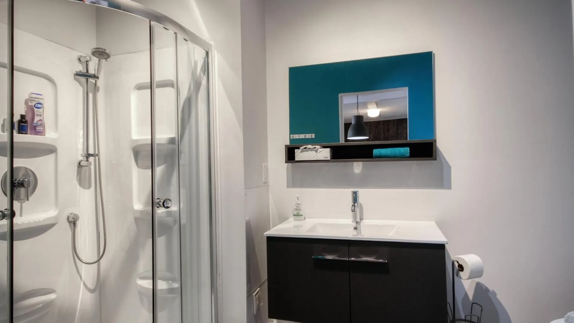 Apartment Loft De L'Antiquaire By Hebergements Dcl Quebec City Canada