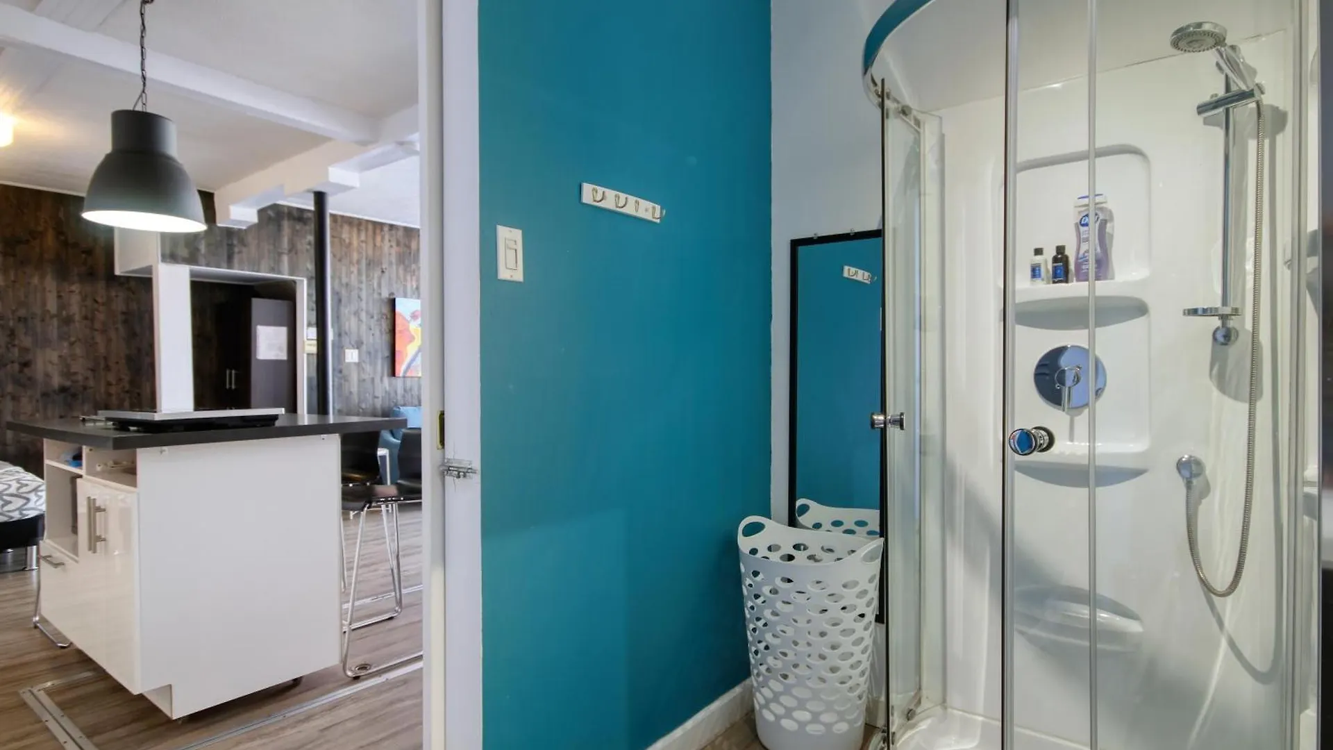 Loft De L'Antiquaire By Hebergements Dcl Quebec City Apartment